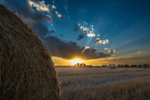 sunrises, And, Sunsets, Sky, Fields, Hay, Nature
