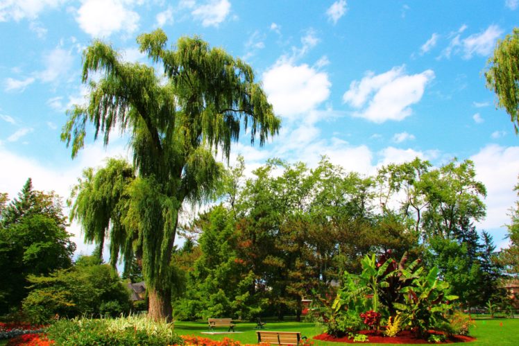 canada, Gardens, Trees, Toronto, Ontario, Botanical, Garden, Nature HD Wallpaper Desktop Background