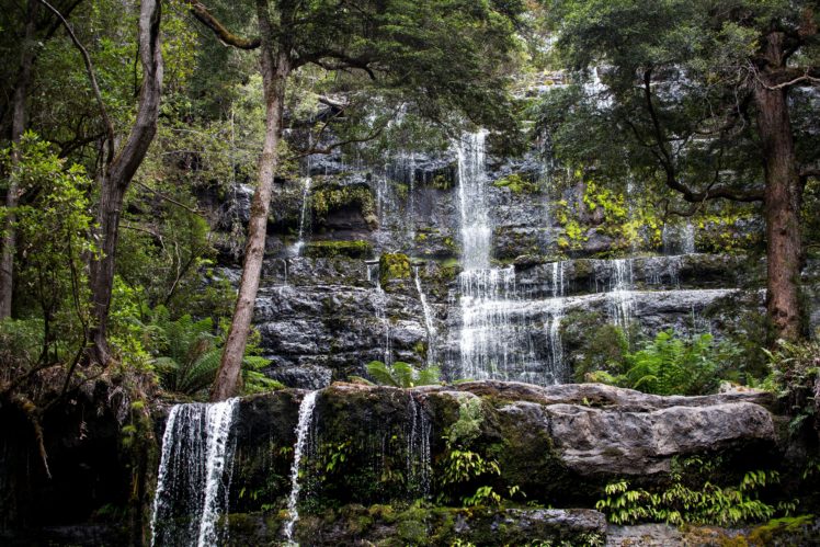 australia, Parks, Waterfalls, Trees, Mount, Field, Tasmania, Nature HD Wallpaper Desktop Background
