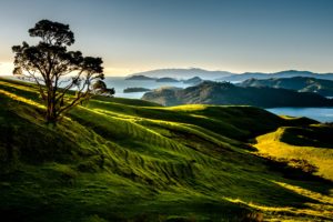 new, Zealand, Scenery, Mountains, Lake, Trees, Coromandel, Nature