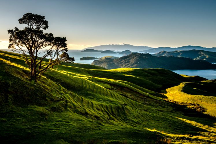 new, Zealand, Scenery, Mountains, Lake, Trees, Coromandel, Nature HD Wallpaper Desktop Background