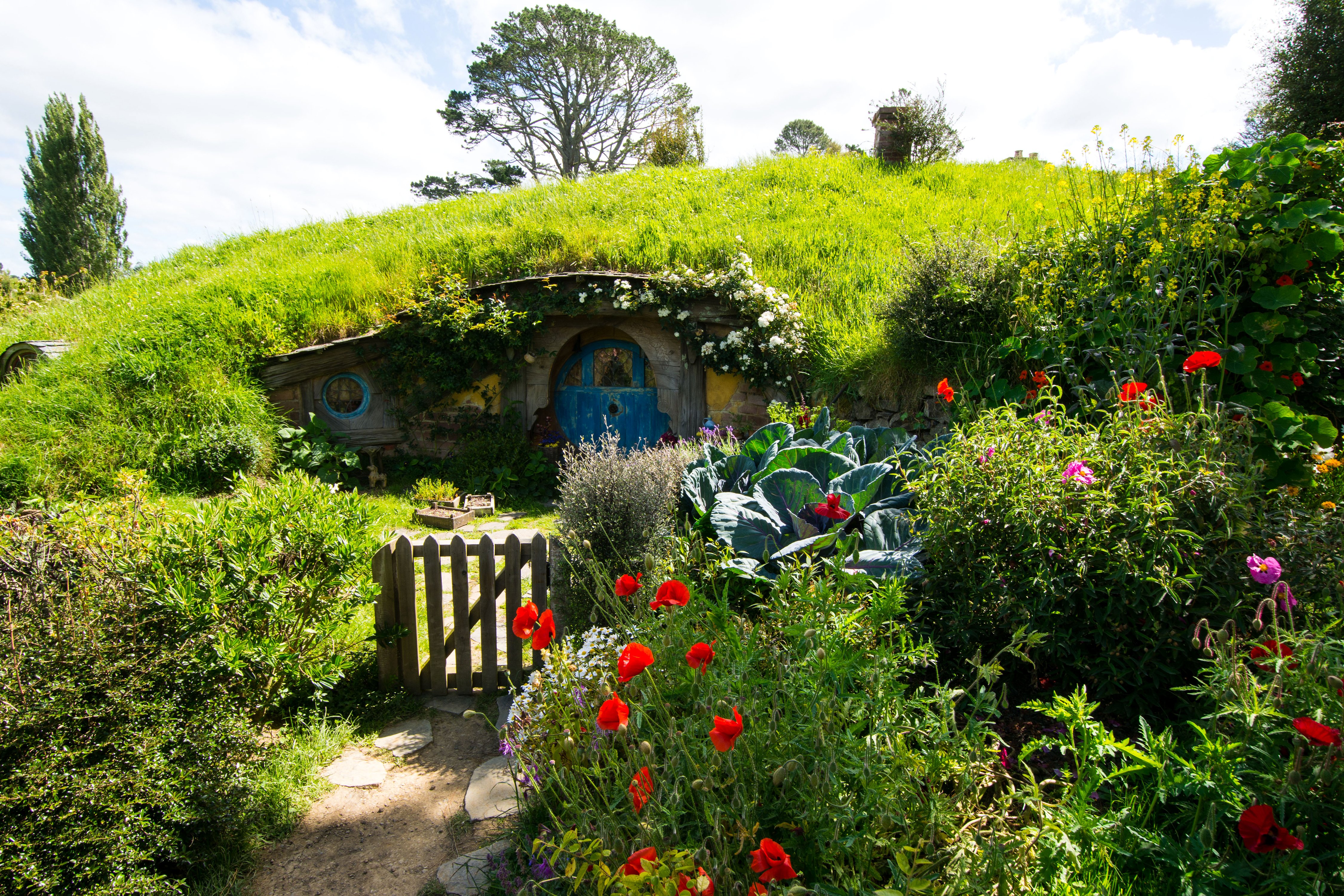 new, Zealand, Parks, Houses, Poppies, Shrubs, Grass, Matamata, Hobbiton, Park, Nature Wallpaper