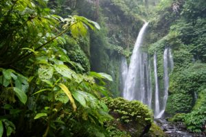tropics, Forests, Waterfalls, Jungle, Nature