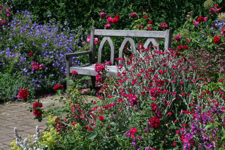 united, Kingdom, Gardens, Roses, Shrubs, Bench, Garden, Rosemoor, Nature HD Wallpaper Desktop Background