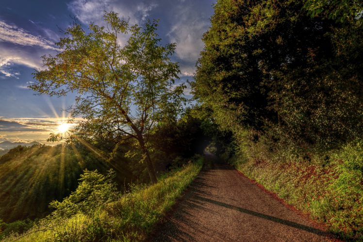 roads, Trees, Rays, Of, Light, Nature HD Wallpaper Desktop Background