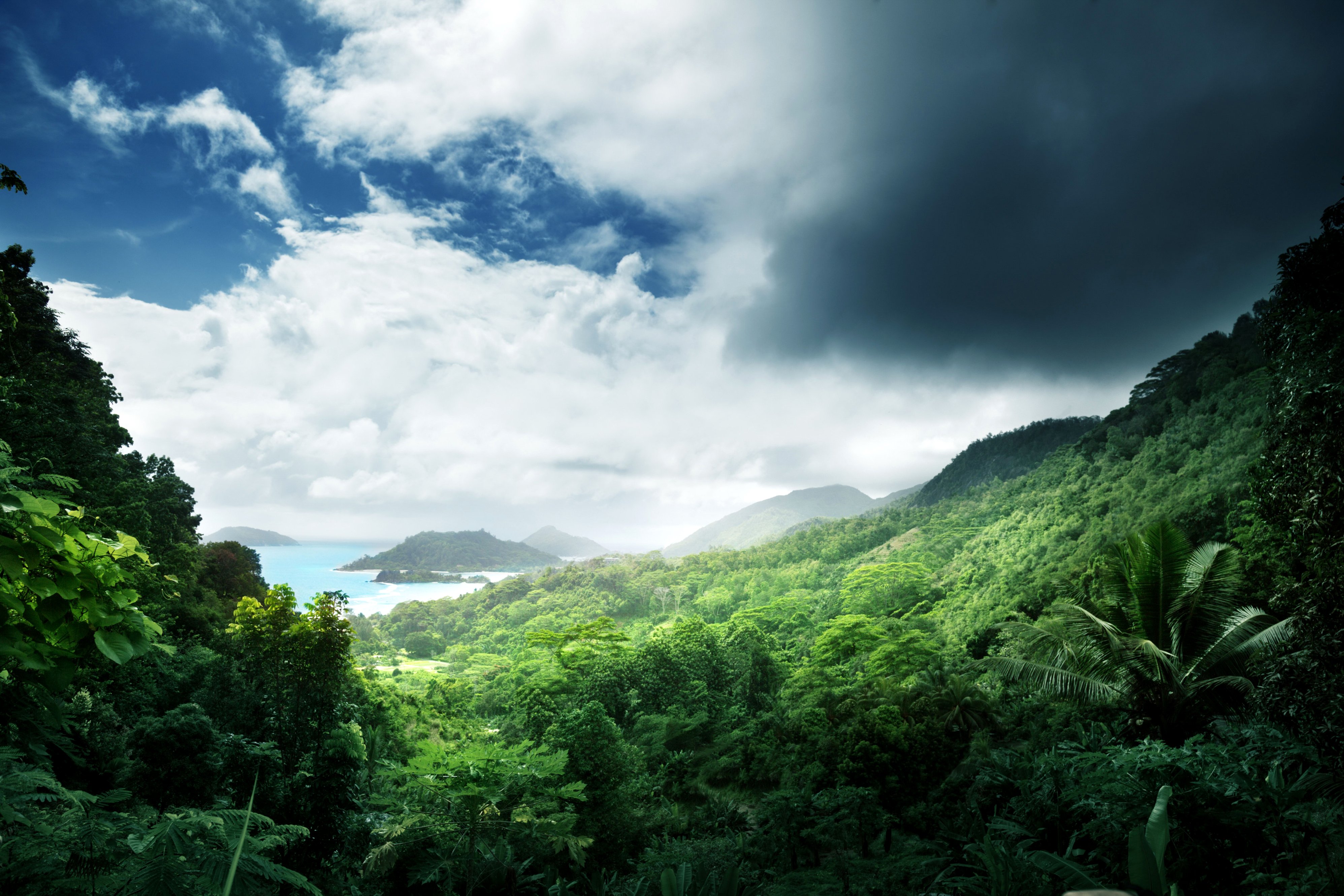tropics, Scenery, Forests, Clouds, Jungle, Nature Wallpaper