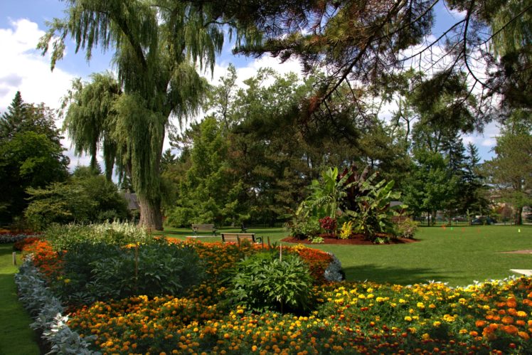 usa, Gardens, Tagetes, Lawn, Trees, Shrubs, Toronto, Ontario, Botanical, Garden, Nature HD Wallpaper Desktop Background