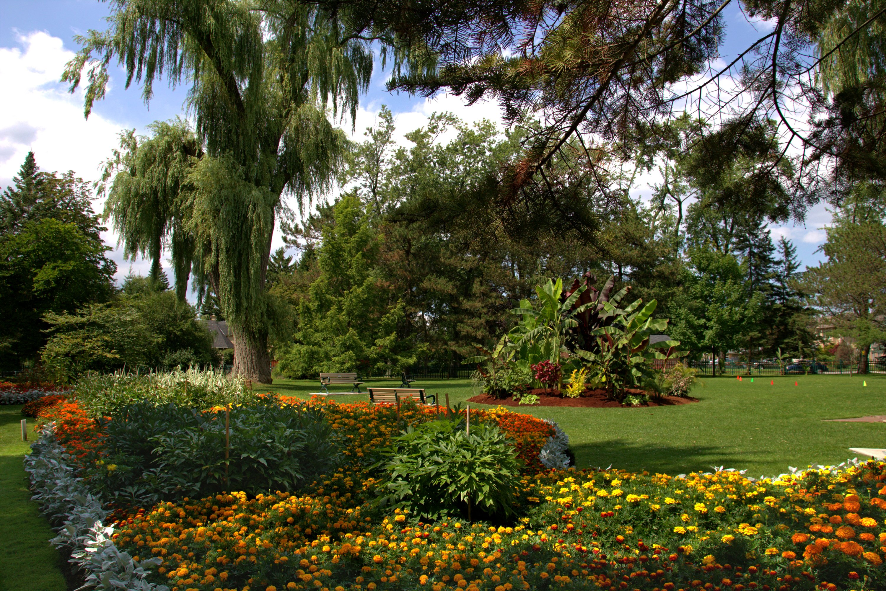 usa, Gardens, Tagetes, Lawn, Trees, Shrubs, Toronto, Ontario, Botanical, Garden, Nature Wallpaper