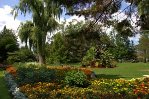 usa, Gardens, Tagetes, Lawn, Trees, Shrubs, Toronto, Ontario, Botanical, Garden, Nature
