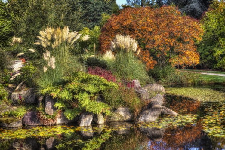 canada, Gardens, Pond, Stones, Vancouver, Trees, Shrubs, Vandusen, Botanical, Garden, Nature HD Wallpaper Desktop Background
