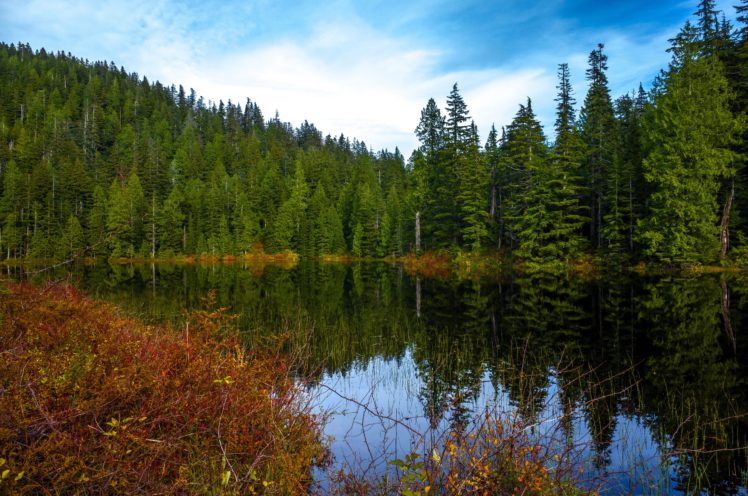 usa, Lake, Forests, Fir, Ashland, Lakes, Nature HD Wallpaper Desktop Background