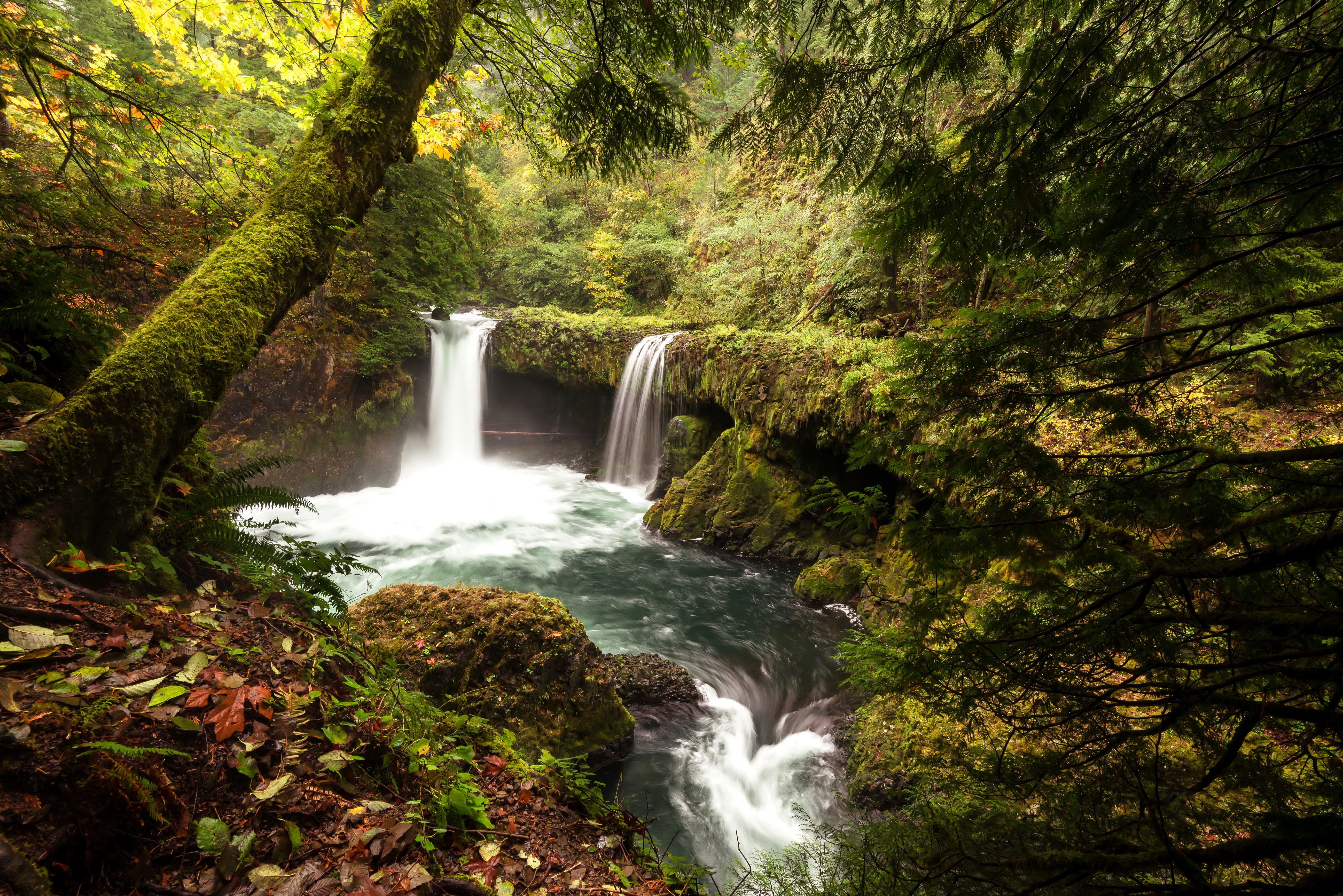 usa, Parks, Waterfalls, Trunk, Tree, Moss, Foliage, Silver, Falls, State, Park, Nature Wallpaper