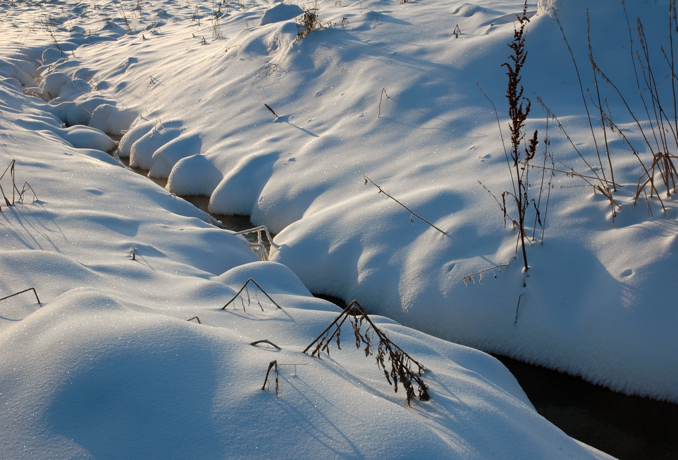 closeup, Snow, Nature Wallpaper