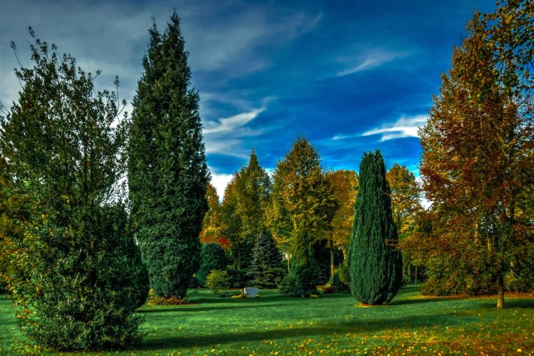 germany, Parks, Trees, Lawn, Attendorn, Nature HD Wallpaper Desktop Background