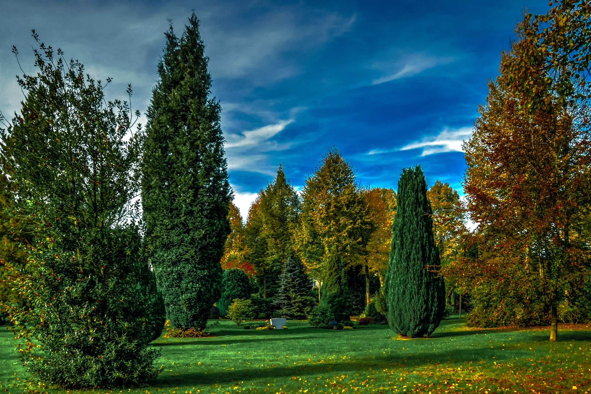germany, Parks, Trees, Lawn, Attendorn, Nature Wallpaper