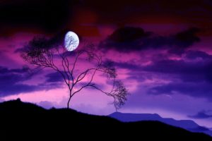 night, Moon, Clouds, Trees, Nature
