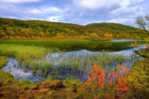 norway, Scenery, Rivers, Autumn, Grass, Aunfjellet, Nature