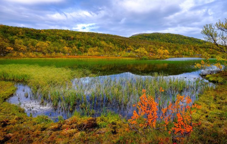 norway, Scenery, Rivers, Autumn, Grass, Aunfjellet, Nature HD Wallpaper Desktop Background