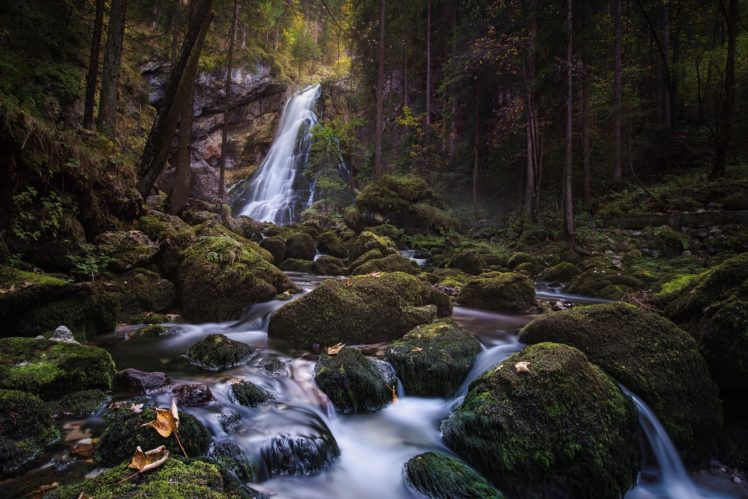 stones, Stream, Moss, Nature HD Wallpaper Desktop Background