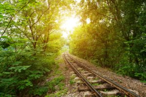 railroads, Trees, Rays, Of, Light, Nature