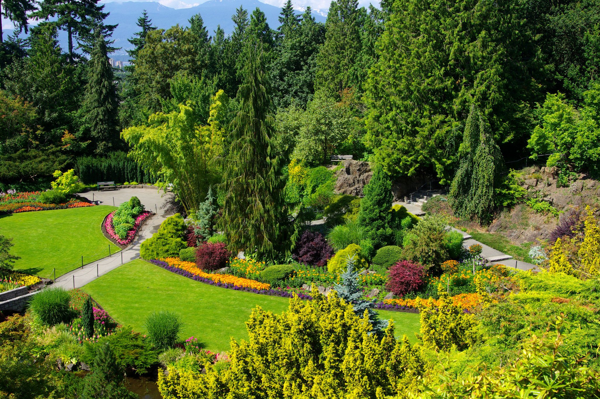 canada, Gardens, Vancouver, Trees, Shrubs, Lawn, Queen, Elizabeth, Garden, Nature Wallpaper