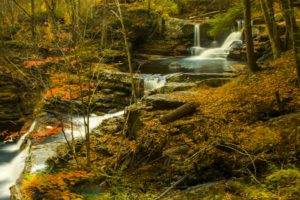 forests, Waterfalls, Autumn, Stream, Nature