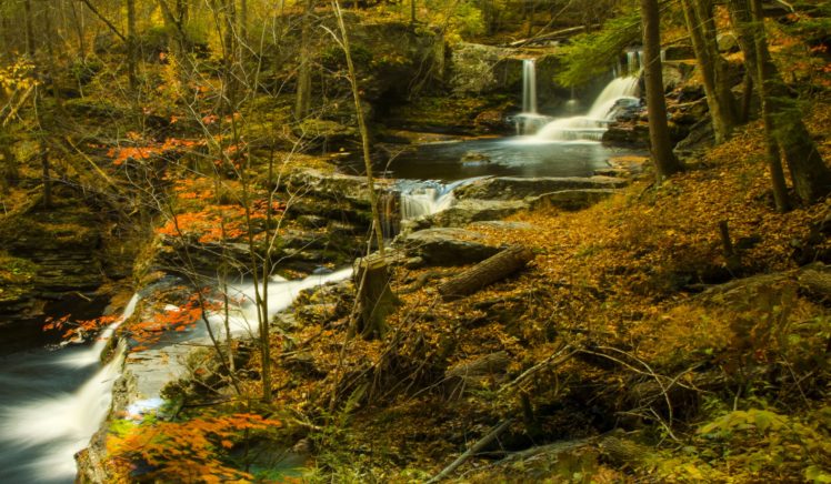 forests, Waterfalls, Autumn, Stream, Nature HD Wallpaper Desktop Background