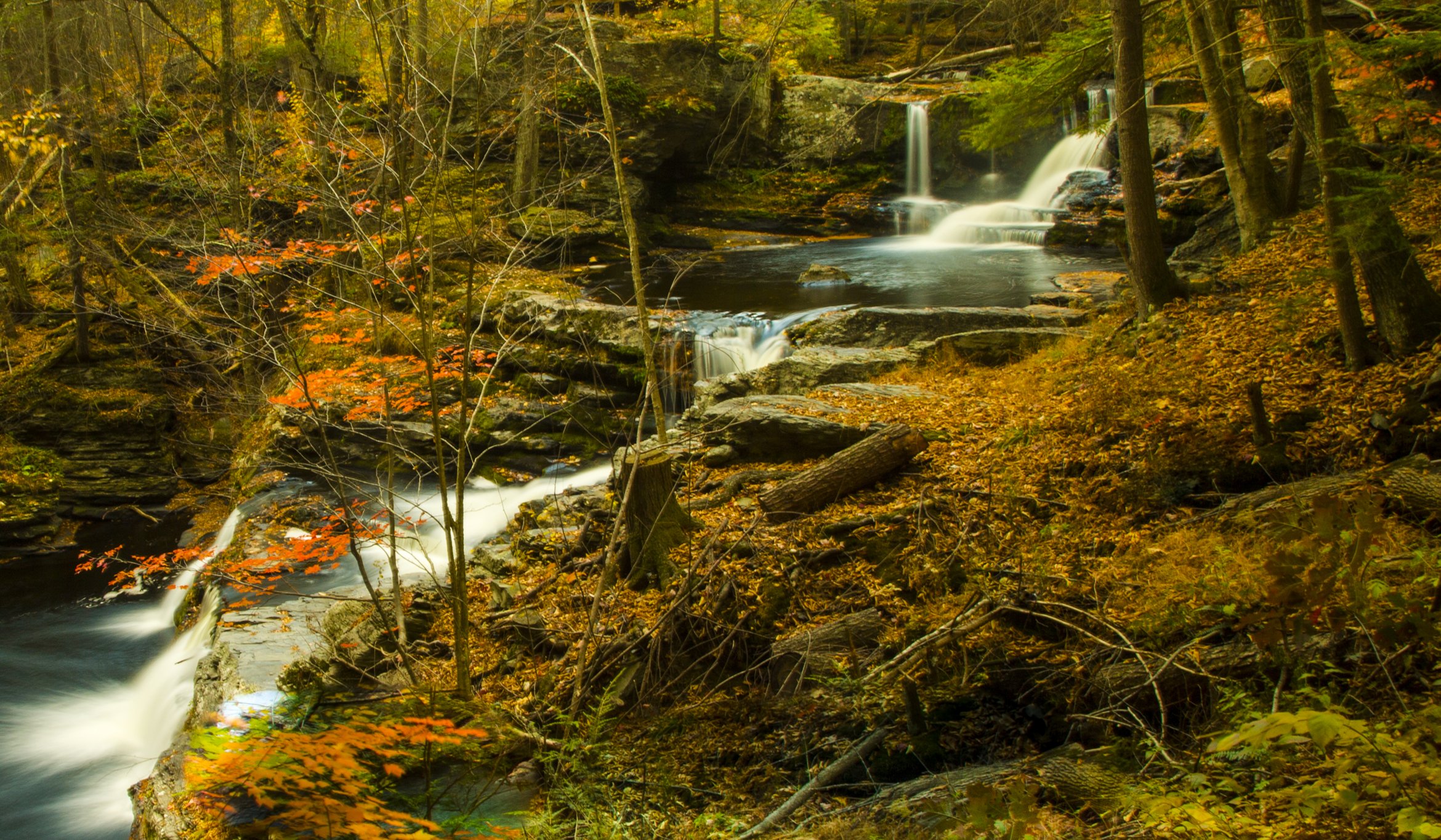 forests, Waterfalls, Autumn, Stream, Nature Wallpaper