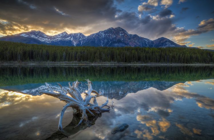 mountains, Coast, Forests, Scenery, Lake, Parks, Canada, Patricia, Lake, Jasper, Nature HD Wallpaper Desktop Background