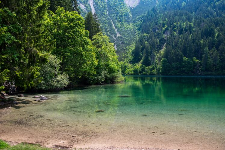 lake, Forests, Nature HD Wallpaper Desktop Background