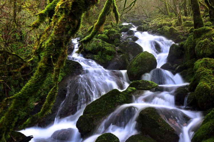 switzerland, Forests, Waterfalls, Stones, Moss, Stream, Soubey, Nature HD Wallpaper Desktop Background