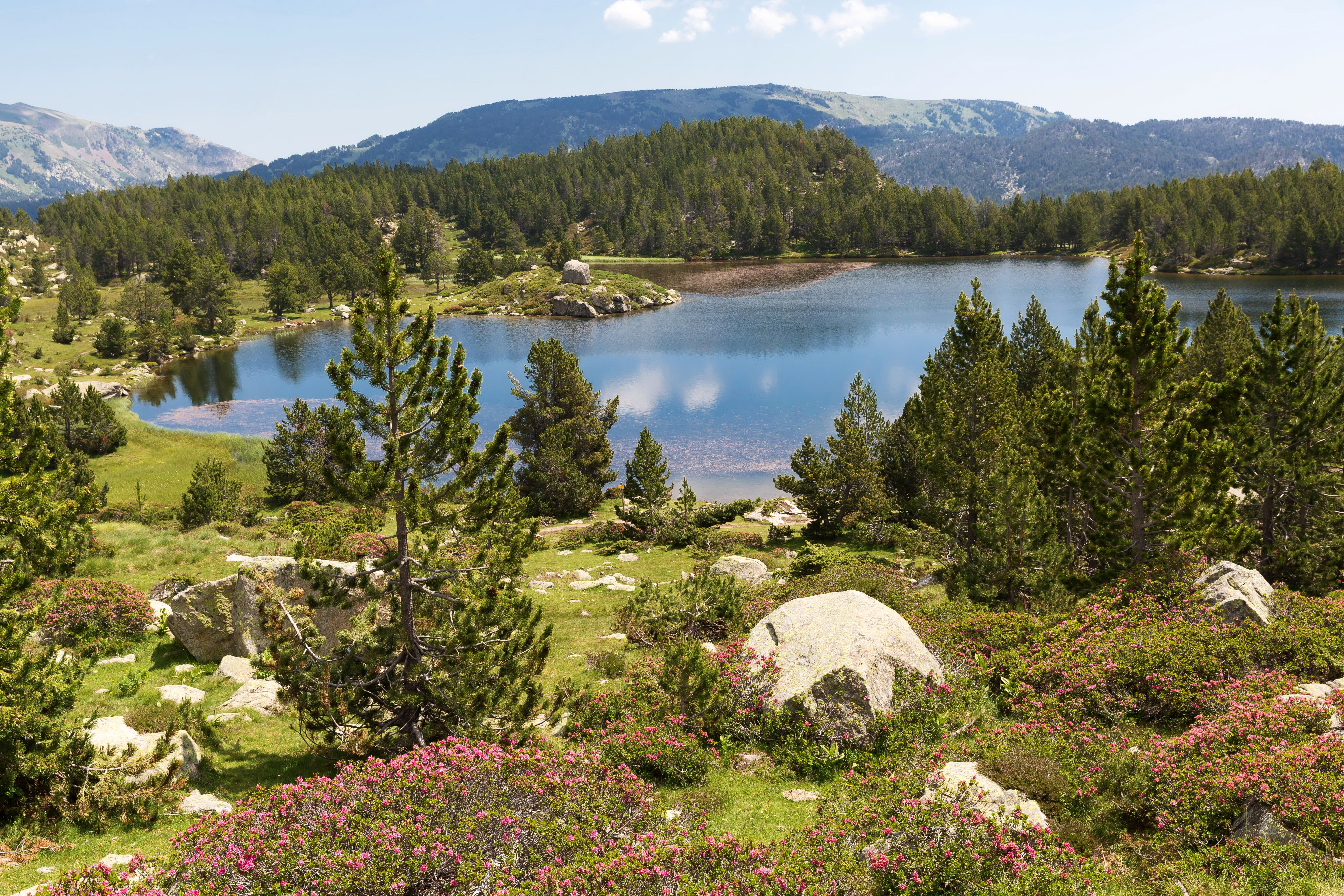 france, Scenery, Lake, Mountains, Fir, Eastern, Pyrenees, Nature Wallpaper