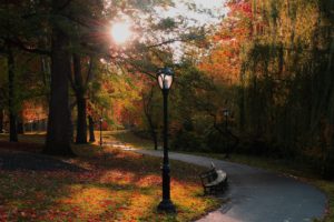 usa, Parks, Autumn, New, York, City, Trees, Street, Lights, Bench, Nature