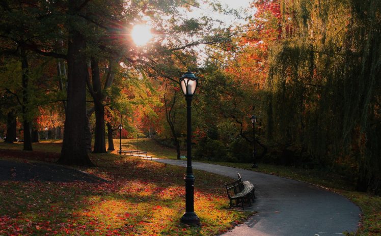 usa, Parks, Autumn, New, York, City, Trees, Street, Lights, Bench, Nature HD Wallpaper Desktop Background