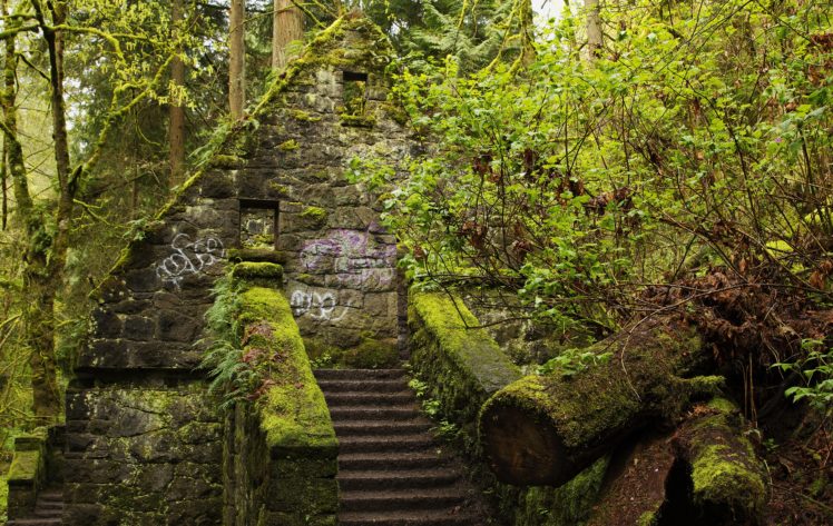 usa, Forests, Stairs, Moss, Forest, Park, Portland, Oregon, Nature HD Wallpaper Desktop Background