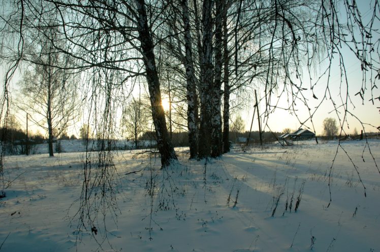 winter, Birch, Trees, Branches, Snow, Nature HD Wallpaper Desktop Background