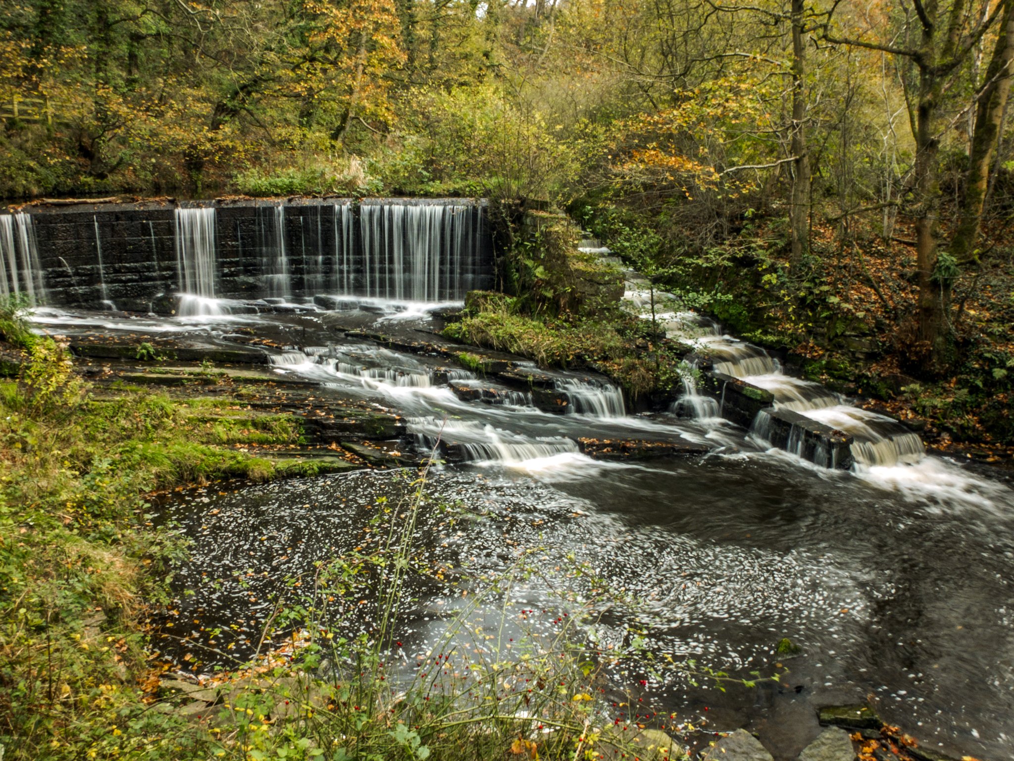 england, Parks, Forests, Waterfalls, Stream, Yarrow, Valley, Country, Park, Nature Wallpaper
