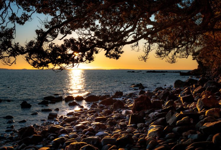 new, Zealand, Sunrises, And, Sunsets, Stones, Sea, Branches, Ruamahunga, Bay, Nature HD Wallpaper Desktop Background