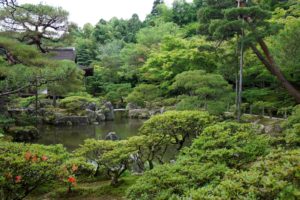 japan, Gardens, Pond, Trees, Shrubs, Kyoto, Nature