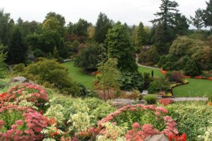 canada, Gardens, Vancouver, Trees, Shrubs, Lawn, Queen, Elizabeth, Garden, Nature