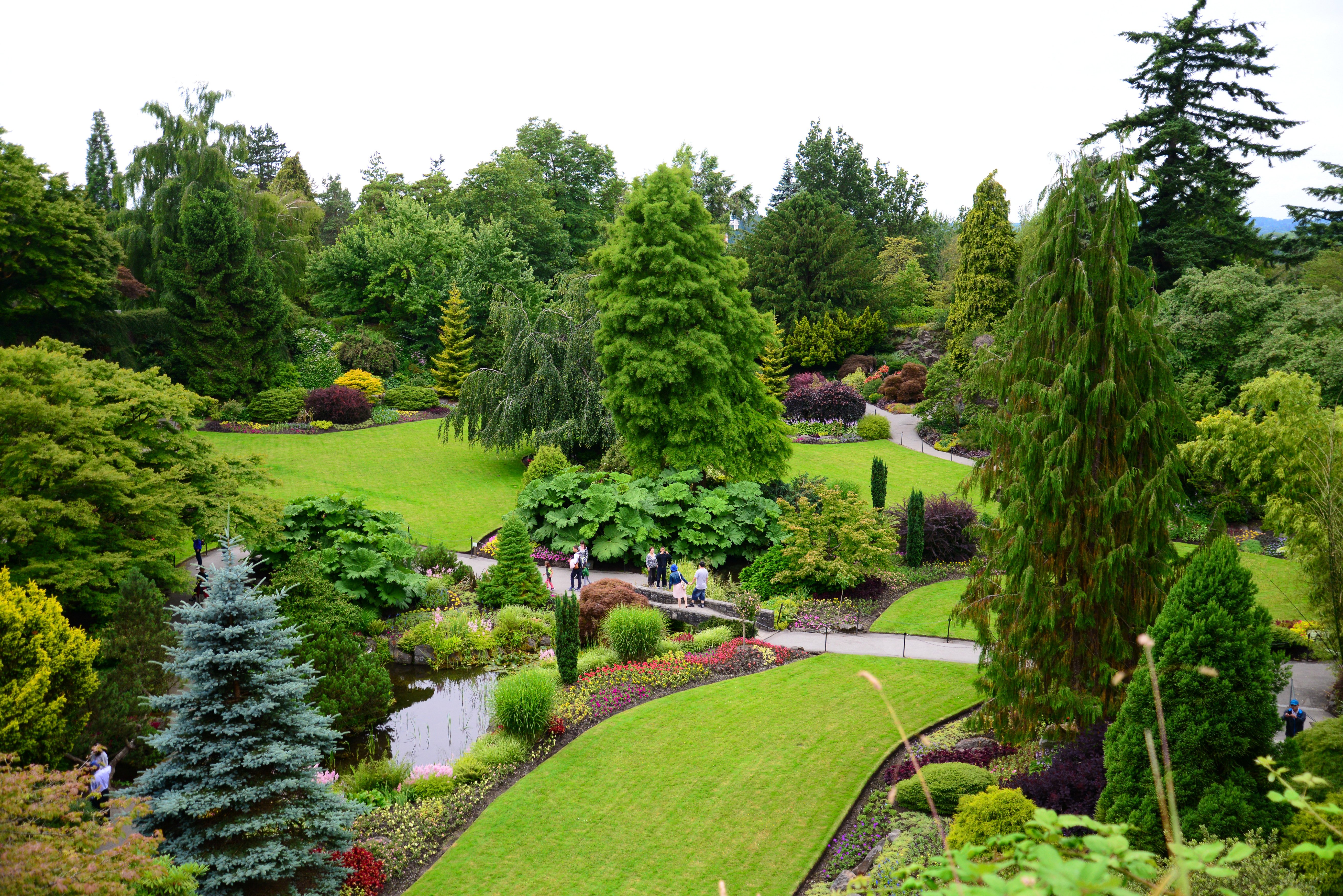 canada, Gardens, Vancouver, Trees, Shrubs, Lawn, Queen, Elizabeth, Garden, Nature Wallpaper