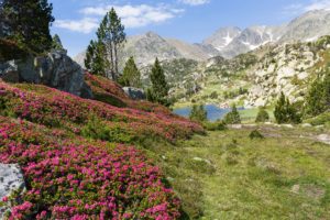 france, Mountains, Lake, Scenery, Trees, Grass, Eastern, Pyrenees, Nature