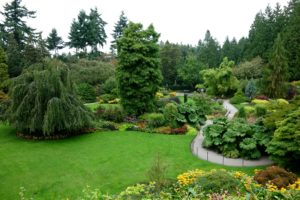 canada, Gardens, Vancouver, Trees, Shrubs, Lawn, Queen, Elizabeth, Garden, Nature