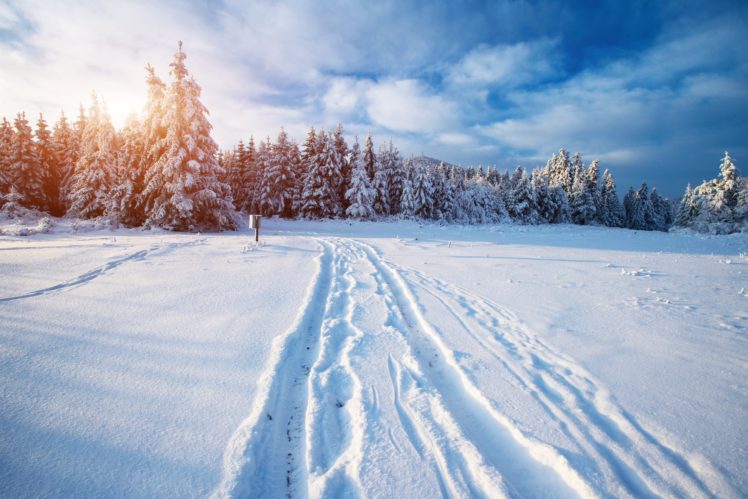 scenery, Winter, Forests, Sky, Snow, Nature HD Wallpaper Desktop Background