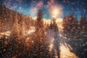 seasons, Winter, Forests, Hdr, Fir, Snowflakes, Rays, Of, Light, Nature