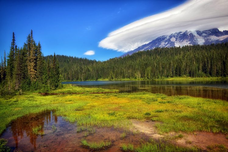 usa, Parks, Scenery, Forests, Lake, Grass, Mount, Rainier, National, Park, Nature HD Wallpaper Desktop Background