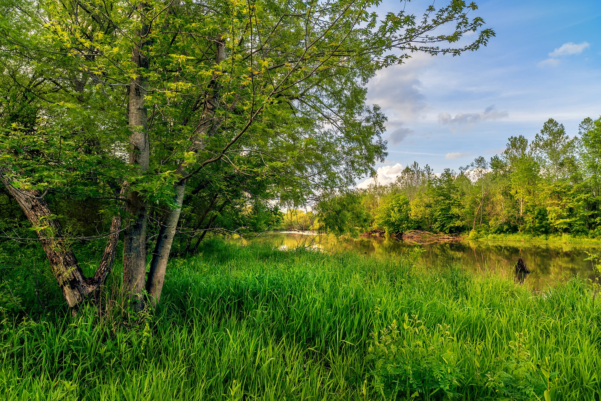 usa, Rivers, Summer, Trees, Grass, Lees, Summit, Missouri, Nature ...