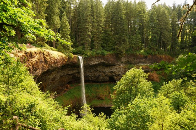 usa, Parks, Waterfalls, Forests, Canyon, Silver, Falls, State, Park, Nature, Wallpapers HD Wallpaper Desktop Background