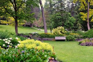 canada, Gardens, Trees, Shrubs, Lawn, Bench, Vandusen, Botanical, Garden, Nature