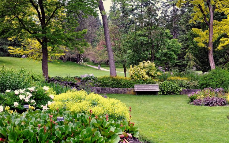 canada, Gardens, Trees, Shrubs, Lawn, Bench, Vandusen, Botanical, Garden, Nature HD Wallpaper Desktop Background